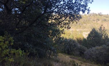 HERMOSO TERRENO EN OMITLAN $228 EL M2