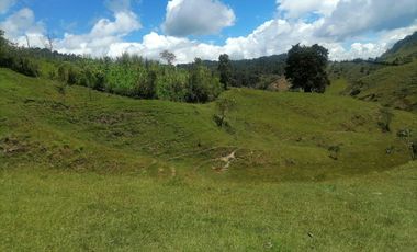 Venta Finca Ganadera y Agrícola Santo Domingo Antioquia