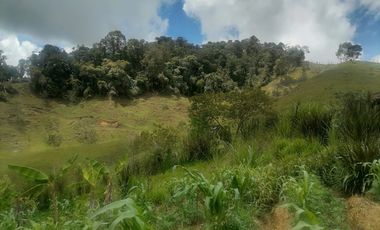 Venta Finca Ganadera y Agrícola Santo Domingo Antioquia