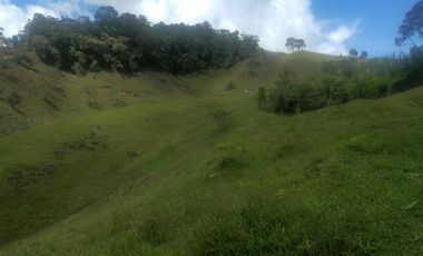 Venta Finca Ganadera y Agrícola Santo Domingo Antioquia