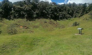 Venta Finca Ganadera y Agrícola Santo Domingo Antioquia