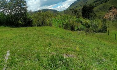 Venta Finca Ganadera y Agrícola Santo Domingo Antioquia