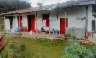 Venta Finca Ganadera y Agrícola Santo Domingo Antioquia