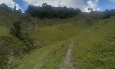 Venta Finca Ganadera y Agrícola Santo Domingo Antioquia