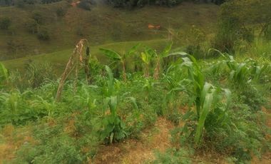 Venta Finca Ganadera y Agrícola Santo Domingo Antioquia