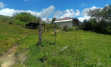 Venta Finca Ganadera y Agrícola Santo Domingo Antioquia