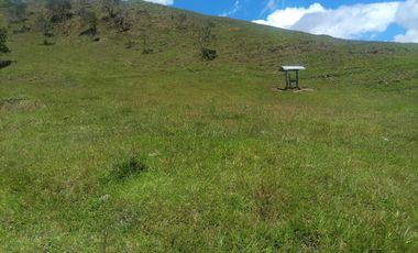 Venta Finca Ganadera y Agrícola Santo Domingo Antioquia