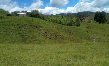 Venta Finca Ganadera y Agrícola Santo Domingo Antioquia