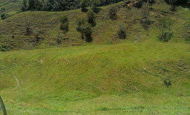 Venta Finca Ganadera y Agrícola Santo Domingo Antioquia