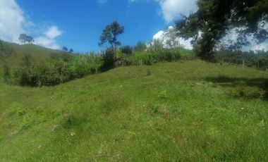 Venta Finca Ganadera y Agrícola Santo Domingo Antioquia