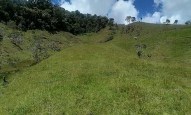 Venta Finca Ganadera y Agrícola Santo Domingo Antioquia