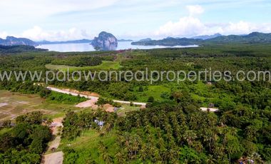 AFFORDABLE CLEAN TITLED COMMERCIAL PROPERTY FOR SALE IN EL NIDO, PALAWAN!
