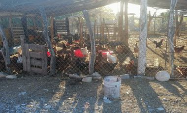 RANCHO EN VENTA EN CADEREYTA JIMENEZ, NUEVO LEON, CARRETERA SAN JUAN LAS TRANCAS, KM 4