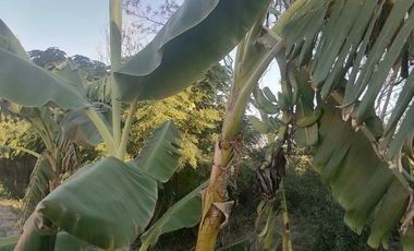 RANCHO EN VENTA EN CADEREYTA JIMENEZ, NUEVO LEON, CARRETERA SAN JUAN LAS TRANCAS, KM 4