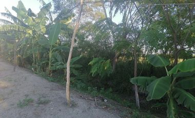 RANCHO EN VENTA EN CADEREYTA JIMENEZ, NUEVO LEON, CARRETERA SAN JUAN LAS TRANCAS, KM 4