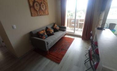 A minutos del centro Pucón, excelente ubicación arriendo depto. año corrido