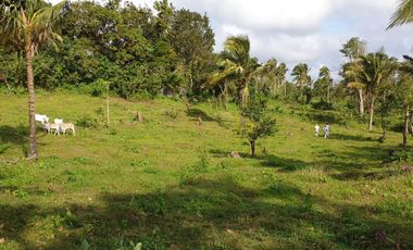 AGRICULTURAL LOT IN TAGAYTAY AREA FOR SALE