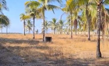 TERRENO EN LOS MOGOTES, COYUCA DE BENITEZ