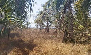 TERRENO EN LOS MOGOTES, COYUCA DE BENITEZ