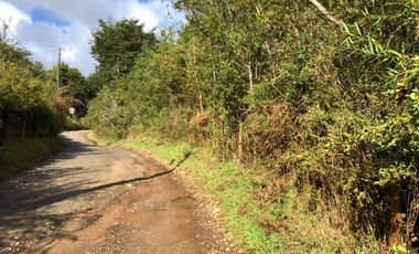 Vendo parcela en sector El Rebellin a 15 min de Valdivia