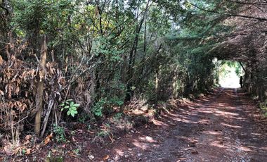 Vendo parcela en sector El Rebellin a 15 min de Valdivia