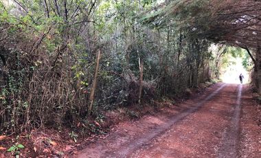 Vendo parcela en sector El Rebellin a 15 min de Valdivia