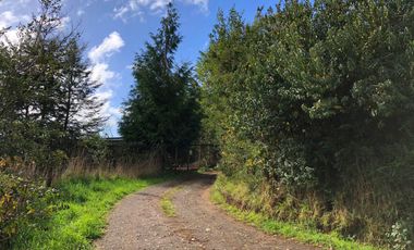 Vendo parcela en sector El Rebellin a 15 min de Valdivia