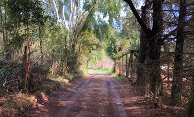 Vendo parcela en sector El Rebellin a 15 min de Valdivia