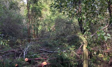 Vendo parcela en sector El Rebellin a 15 min de Valdivia