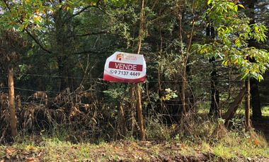 Vendo parcela en sector El Rebellin a 15 min de Valdivia