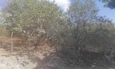 terreno de venta sector el Limón en Portoviejo