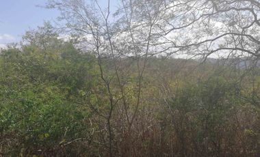 terreno de venta sector el Limón en Portoviejo