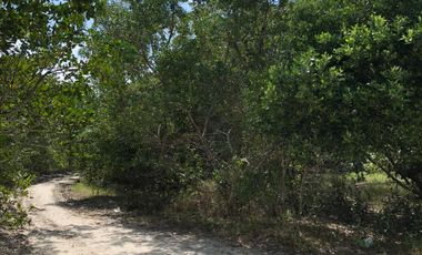 Oportunidad terreno en Holbox, Quintana Roo