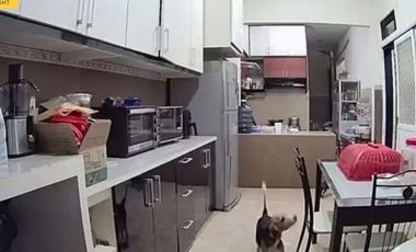 DIJUAL RUMAH Pondok Tjandra Cluster Gardenia Residence SIDOARJO