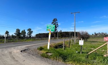 Parcela 5000 m2 Paso Hondo, Yumbel