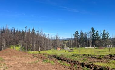 Parcela 5000 m2 Paso Hondo, Yumbel