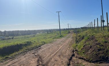 Parcela 5000 m2 Paso Hondo, Yumbel