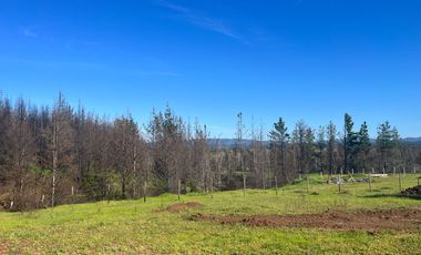 Parcela 5000 m2 Paso Hondo, Yumbel
