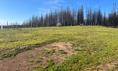 Parcela 5000 m2 Paso Hondo, Yumbel