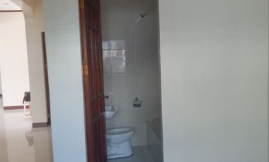 HOUSE AND LOT FOR SALE IN SAN JOSE NEGROS ORIENTAL ID 14886