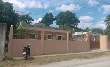 HOUSE AND LOT FOR SALE IN SAN JOSE NEGROS ORIENTAL ID 14886