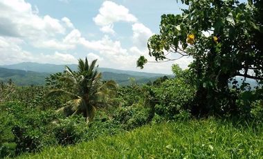 TANAY FARM LOT FOR SALE WITH UPDATED RPT AND CLEAN TITLE