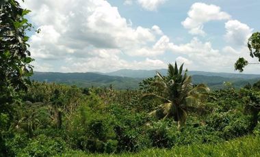 TANAY FARM LOT FOR SALE WITH UPDATED RPT AND CLEAN TITLE