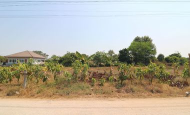 7 Building Plots Of Land For Sale in Tha Phra, Khon Kaen, Thailand