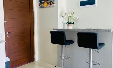 Fully-furnished 1BR condo for rent in Tulip Gardens, Southwoods City