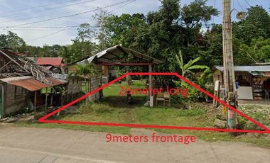 Along Dao Dauis Highway 236sqm Lot for Sale | BOHOLANA REALTY
