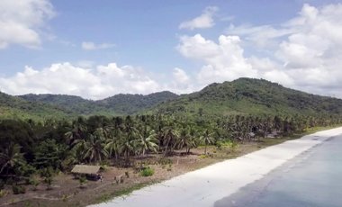 Beachfront Property For Sale in Brgy. Binga El Nido, Palawan
