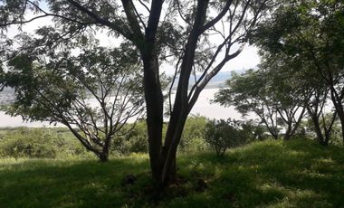 40 hectáreas en Chimulco, (Villa Corona, Jal.)
