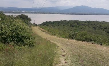 40 hectáreas en Chimulco, (Villa Corona, Jal.)