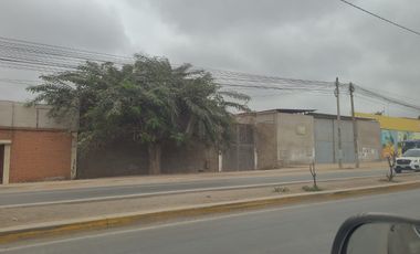 Inscrito en Registros Publicos